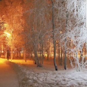 Meet your Posher, Guard